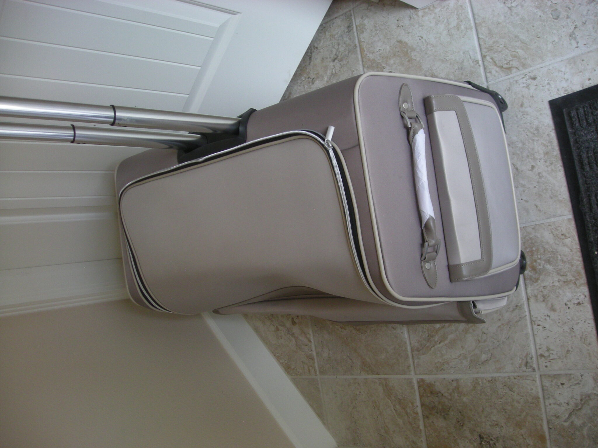 designer roller bag