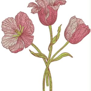 TULIPS FOR  MOTHER'S DAY