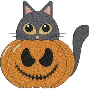 Cutest Halloween Kitten