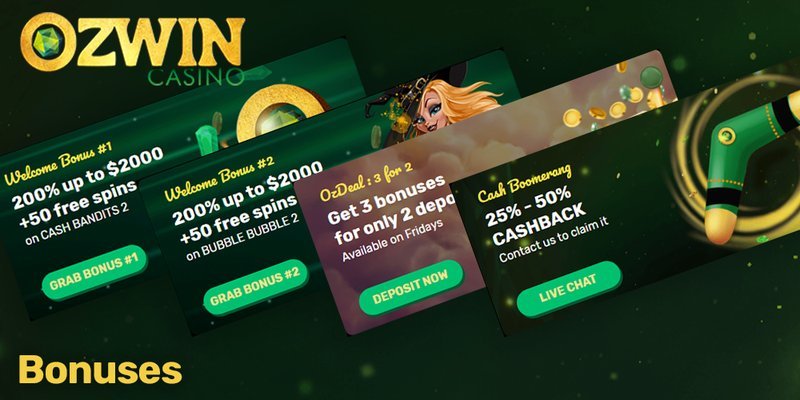 Image: What You’ll Get After the First Ozwin Login